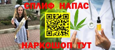 индика Ливны