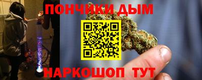 индика Ливны