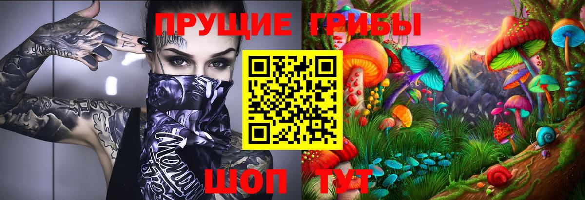 Галлюциногенные грибы мицелий  Галлюциногенные грибы Psilocybine cubensis  Вход с VPN  Таганрог 